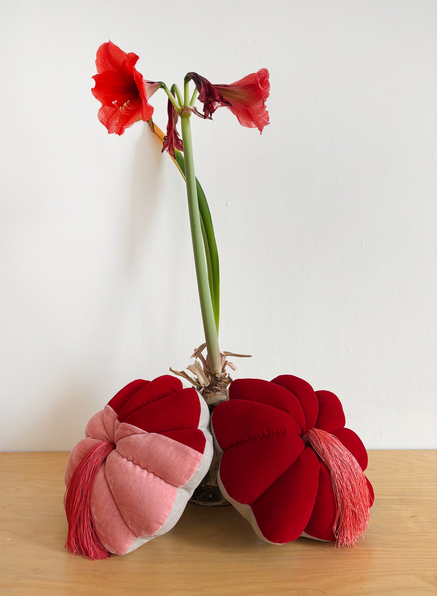 FULL BLOOM, RED - DARK PEACH TASSEL