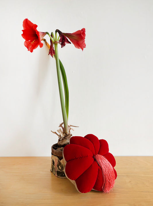 FULL BLOOM, RED -  DARK PEACH TASSEL
