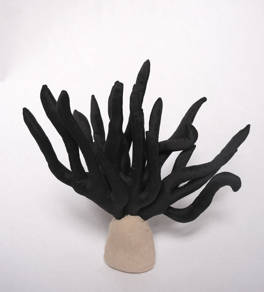Black Coral