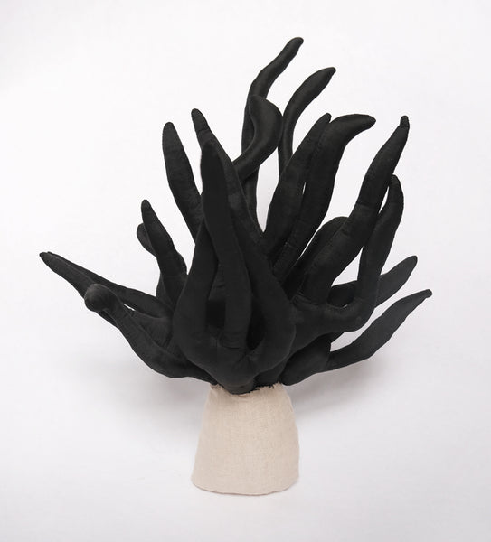 Black Coral