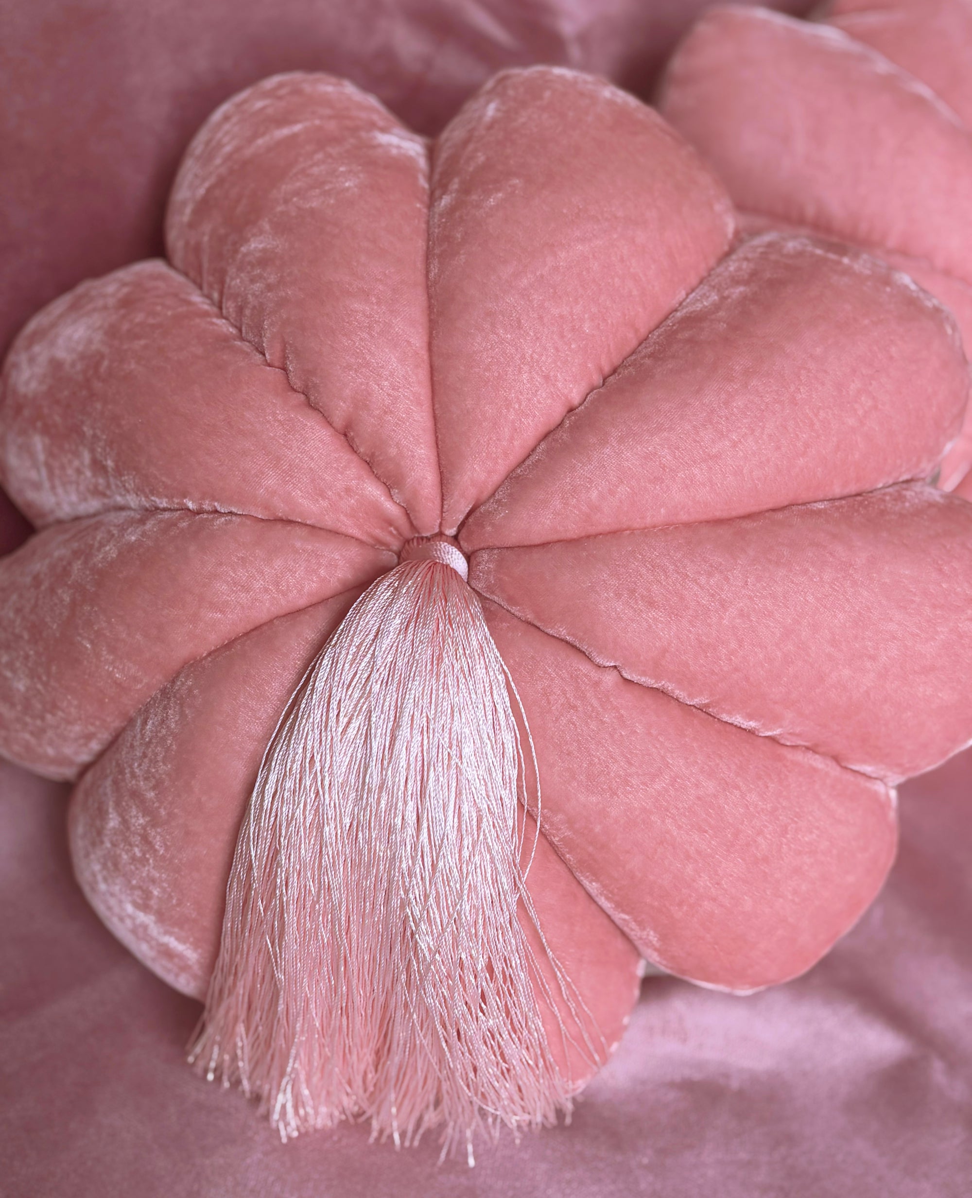FULL BLOOM, PEACH- CORAL TASSEL OR PALE PINK