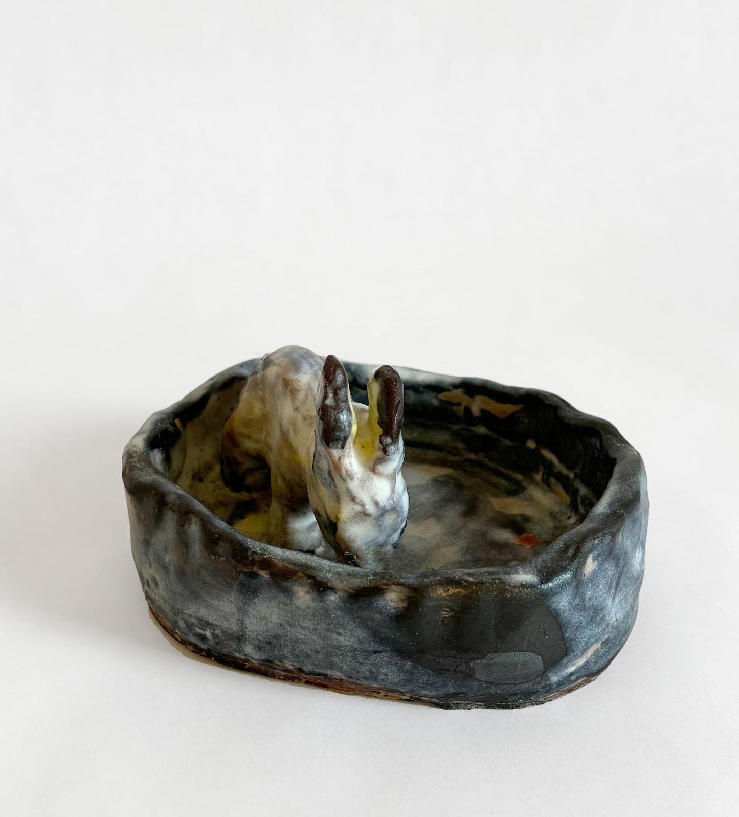 A Donkey drinking from a pond - Dish