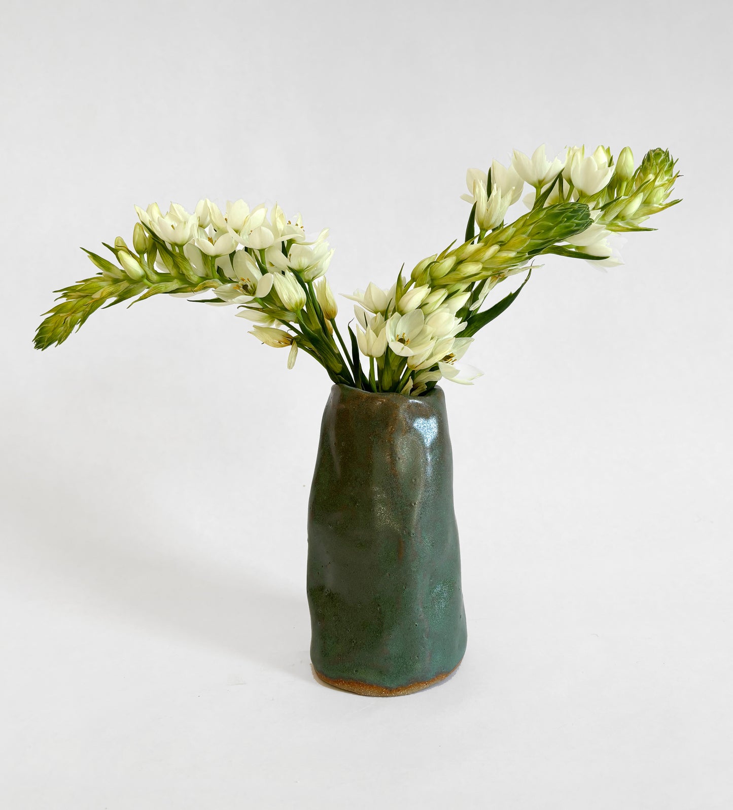 Moss on a rock - Vase