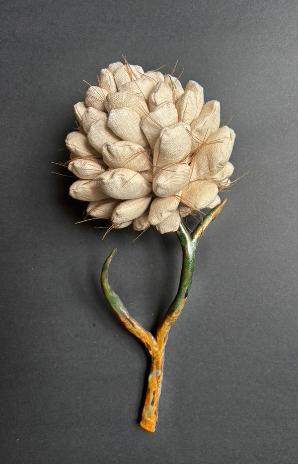 Pine cone N.1