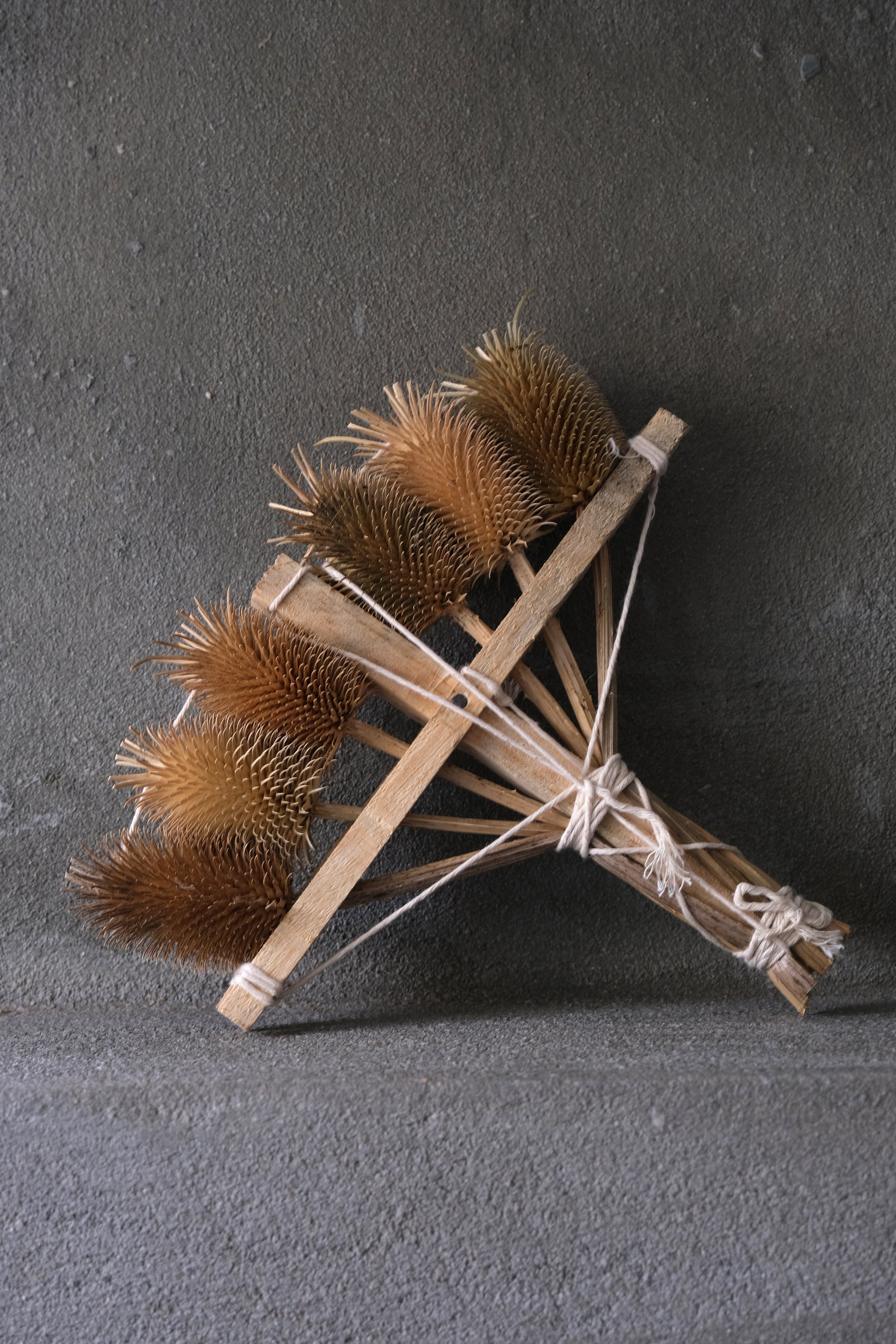 Thistle brush