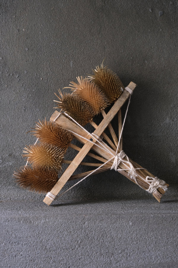 Thistle brush