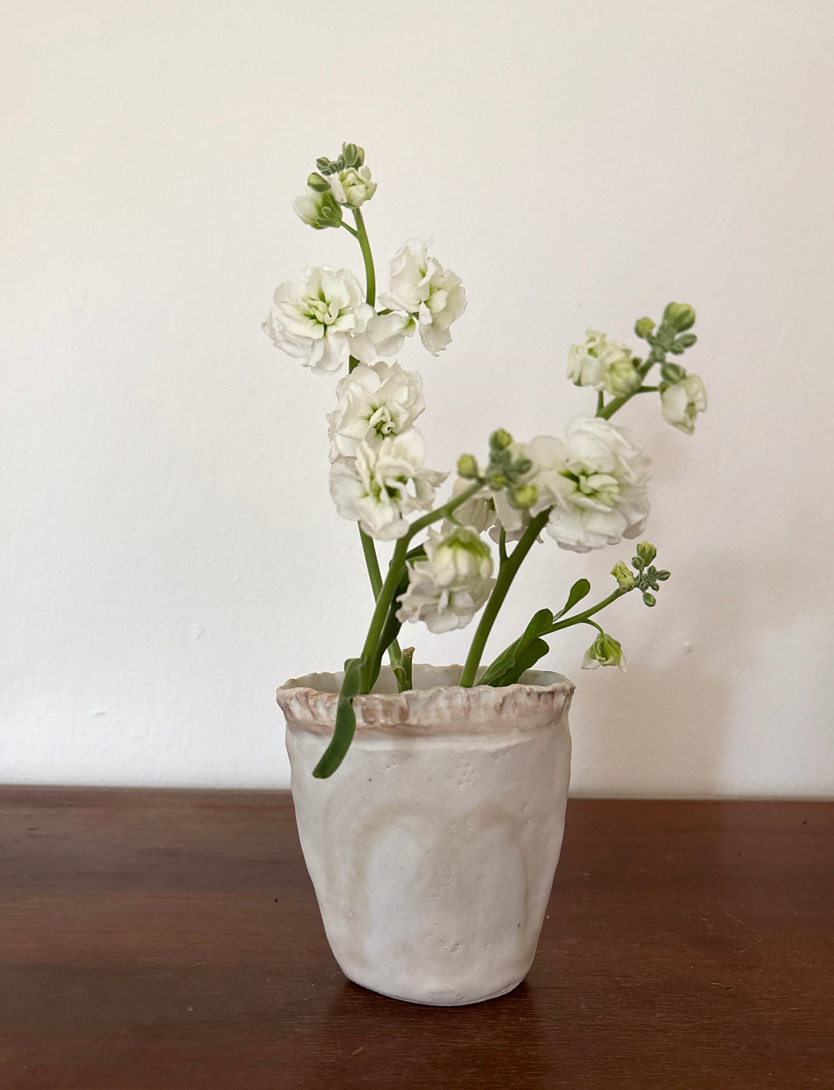White flower pods vases