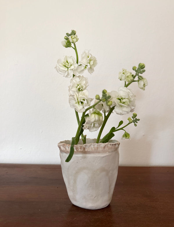 White flower pods vases