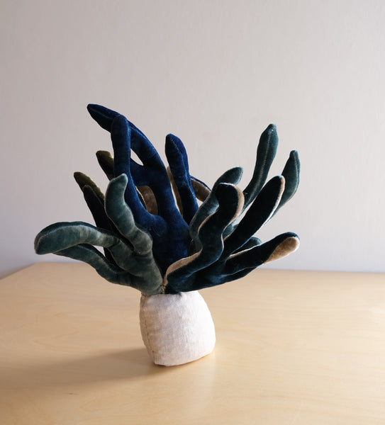 VELVET CORAL MIX BLUES #2