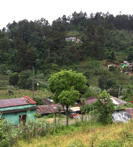 Meet the Guatemalan Artisans