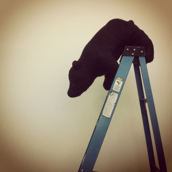 Studio Diary