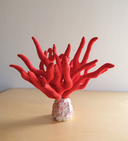 RED CORAL WITH CERAMIC BASE