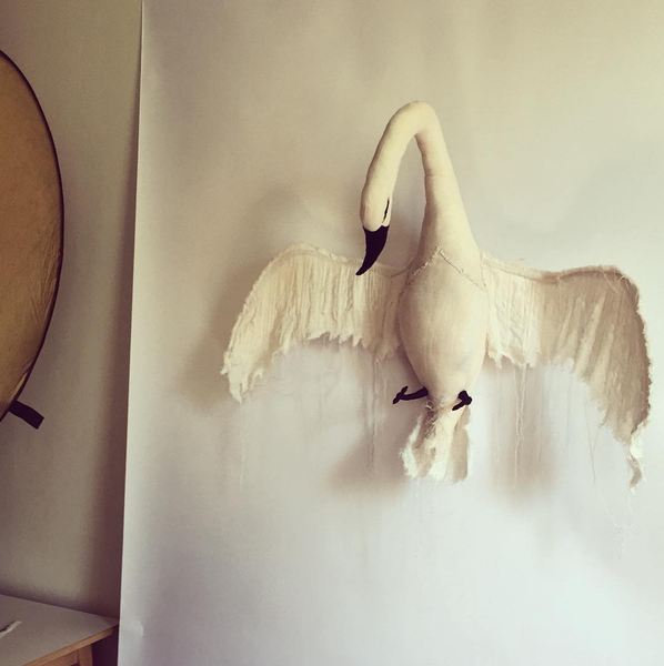 Studio Diary