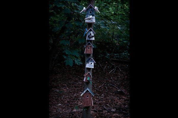 Dusk - Photos by Sarah Wilmer