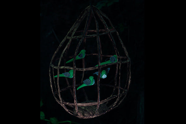 Dusk - Photos by Sarah Wilmer