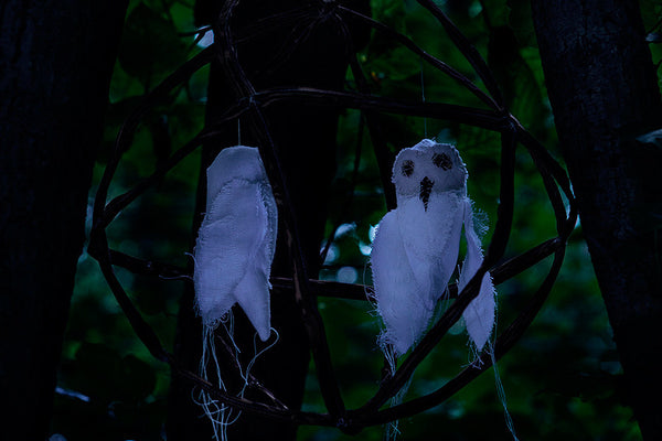 Dusk - Photos by Sarah Wilmer