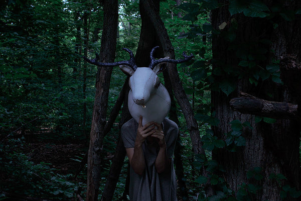 Dusk - Photos by Sarah Wilmer