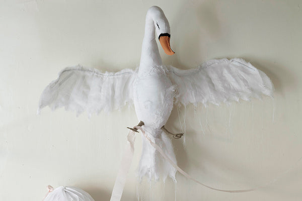 Porcelain -  Photos by Ngoc Minh Ngo