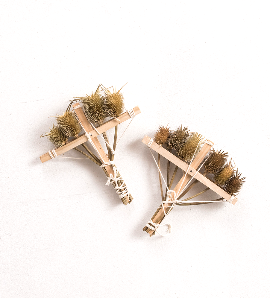 Thistle brush