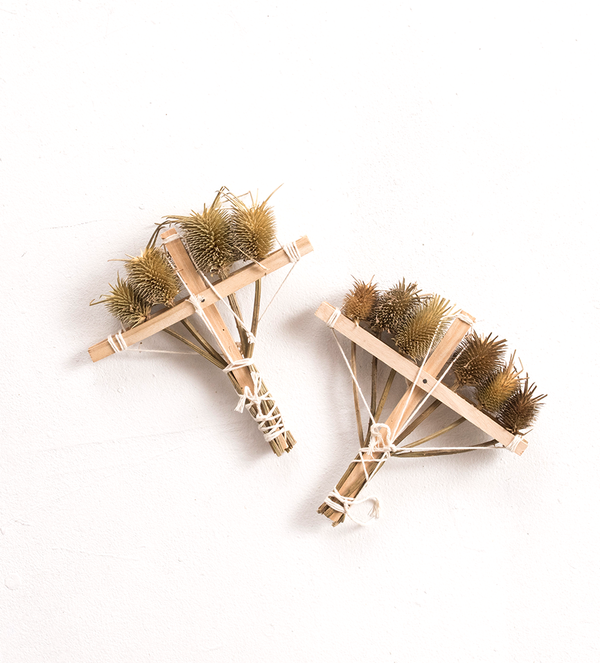 Thistle brush